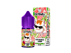 Жидкость ЧЗ Catswill SALT Клубника Киви