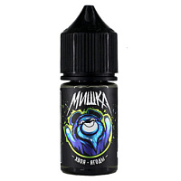 Жидкость ЧЗ Мишка SALT Хвоя - Ягоды