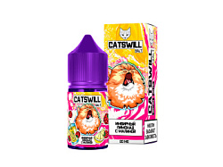 Жидкость ЧЗ Catswill SALT Имбирный лимонад с малиной