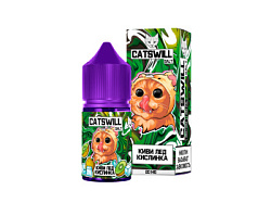 Жидкость ЧЗ Catswill SALT Холодный кислый киви